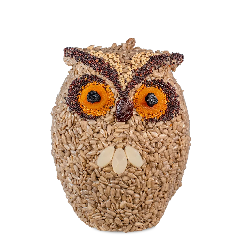 Mr. Bird Whoolio Owl
