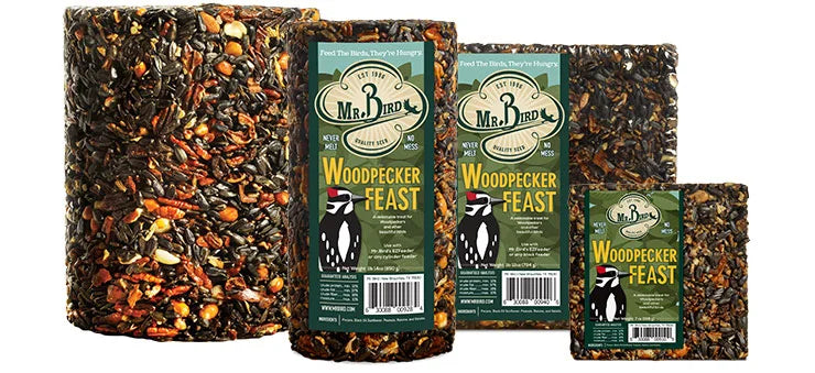 Mr. Bird Woodpecker Feast
