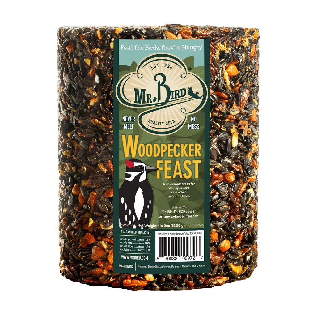 Mr. Bird Woodpecker Feast